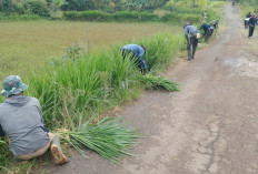 Warga Ciptawaras Gotong Royong Rutin 