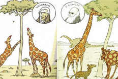 Perbedaan Teori Evolusi Lamarck, Darwin, dan Weismann