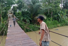 Jembatan Gantung di Pekon Waypetai Selesai Direnovasi