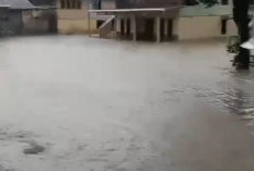 Saluran Irigasi Meluap Sebabkan Banjir di Pekon Laay, Mobilitas Warga Terganggu