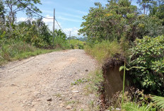 Jalan Provinsi Longsor, Warga Harapkan Penanganan Segara