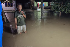 Way Laay Meluap, Dua Pemangku Kembali Terendam Banjir