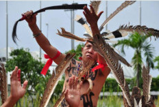 Mandau Terbang, Senjata Tradisional Suku Dayak Kalimantan