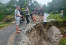 Kerusakan Jalan Penghubung Kecamatan Sekincau-Pagardewa Telah Masuk BPBD 