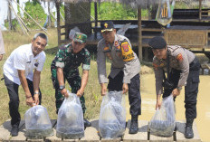 Dukung Ketahanan Pangan, Polres Pesisir Barat Tebar Benih Ikan dan Tanam Jagung