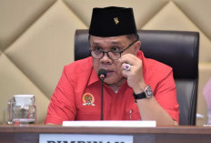 Keputusan DPR, Tenaga Honorer yang Mengabdi dengan Masa Kerja Segini Wajib Diangkat Jadi PPPK 2024