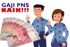 Klarifikasi Terkait Kenaikan Gaji PNS 2025: Fakta atau Isu?