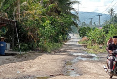 Tidak Ada Drainase, Jalan Provinsi di Suoh Tergenang Air dan Penumpukan Pasir