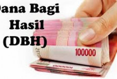 Realisasi DBH Pajak Provinsi Capai Rp23,446 Miliar 