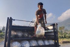 Masyarakat Diminta Optimal Memanfaatkan Bantuan Benih 