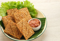Tempe Goreng: Antara Lezat dan Sehat, Ini Fakta Sebenarnya