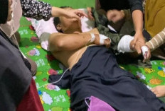 Diseruduk Babi Hutan,  Hendra Alami Luka Serius