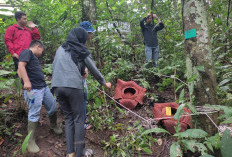 Rhino Camp Habitat Dua Jenis Puspa Langka Indonesia