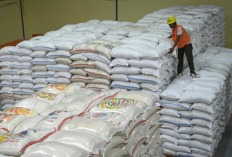 Pemerintah Tugaskan Bulog  Serap Tambahan 1 Juta Ton Beras