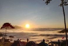 Bukit Embun, Wisata Alam yang Ramai Dikunjungi Dari Berbagai Kota