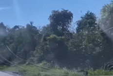 DPRD Soroti Lambannya  Penanganan Kabel Listrik 