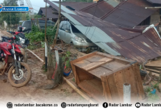 Suoh–BNS Kehilangan 11.102 Hektar Hutan, Dampaknya Banjir Bandang dan Habitat Satwa Rusak