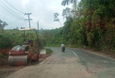 Pemprov akan Tangani Ruas Jalan Provinsi di Lampung Barat