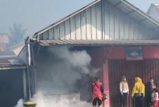 Lewat Fogging, Cegah penularan Penyakit DBD Semakin Meluas