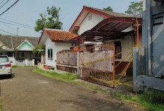 DPR Desak Pengusutan Tuntas Pabrik Uang Palsu di Bogor: Ancaman Serius bagi Stabilitas Ekonomi