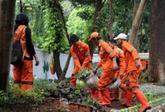 Pemprov DKI Jakarta Buka Rekrutmen Petugas PPSU 2025: Gaji UMP, Pendaftaran Bisa Online