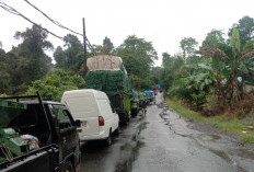 Tiang Listrik Roboh, Jalur Lintas Barat Lumpuh Total