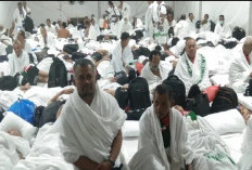Seluruh Jemaah Haji Lambar Tiba di Arafah
