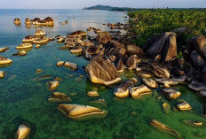 Eksplorasi Alam Natuna, Lima Destinasi Eksotis yang Wajib Dikunjungi