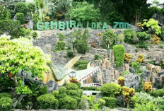 Gembira Loka Zoo Yogyakarta Tetap Bertahan dan Melestarikan Satwa Pasca Pandemi