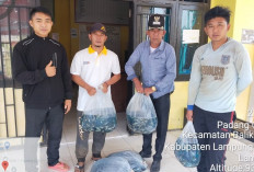 Dukung Ketahanan Pangan, Padangcahya Bagikan Bantuan 5000 Benih Ikan 