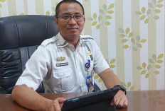 Stok Alat Kontrasepsi di Lampung Barat Aman, Hanya Kondom Sedang Kosong