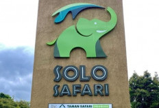 10 Tempat Wisata Populer di Solo yang Wajib Dikunjungi