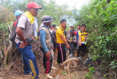 Kawanan Gajah Sempat Mendekati Permukiman