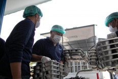 Mendag Akan Putus Importir Food Tray MBG Jika Terbukti Mengandung Babi