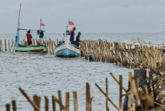 Investigasi Pagar Laut di Tangerang Berhenti di Kades Kohod, Antiklimaks?