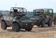 AS Kontrak US$163 Juta untuk Kirim Kendaraan Lapis Baja MSFV ke Ukraina