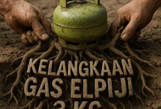 Komisi II Sepakat Bongkar Akar Masalah Elpiji 3 Kg 