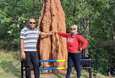 Merauke, Pesona Negeri 1000 Musamus di Ujung Timur Indonesia
