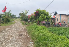 Rusak Parah, Jalan Dusun Talang Layak Segera Dibangun