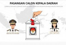 Apa Perbedaan Quick Count, Real Count dan Exit Poll Pada Pemilu, Ini Penjelasannya