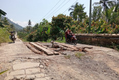 Masuk Prioritas RPJMD,  Pembangunan Jalan di Suoh  Ditargekan Tuntas Hingga 2030