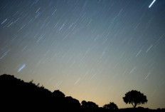 Hujan Meteor Geminid Puncaki Langit Malam Ini, Begini Cara Melihatnya