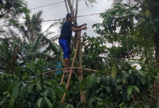 Warga Muarajaya I Keluhkan Layanan PLN 