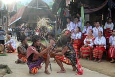 Kekayaan Budaya Suku Mandar, Tradisi Unik yang Tetap Lestari