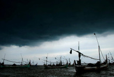 Diskan Pesisir Barat Imbau Nelayan Waspada Dampak Cuaca Buruk