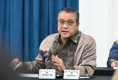 Pulau-Pulau Indonesia Dijual Online, DPR Desak Pemerintah Bertindak Cepat