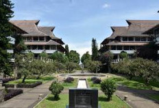  Daya Tampung dan Persaingan Program Studi di ITB pada SNBT 2025
