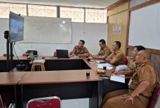 Kolaborasi Rikolto–Pemkab Lambar, Perkuat Komoditas Kopi dan Kakao
