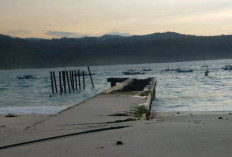 Kecamatan Pulau Pisang Siapkan Laporan Dampak Gelombang Tinggi