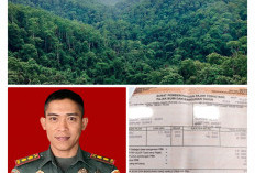 Wah, Ada Penarikan PBB di Kawasan TNBBS Lampung Barat